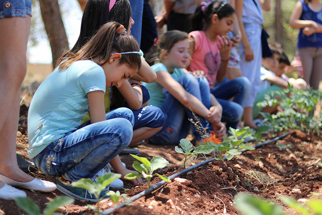 Promoting food and nutrition education through school gardens in Syria